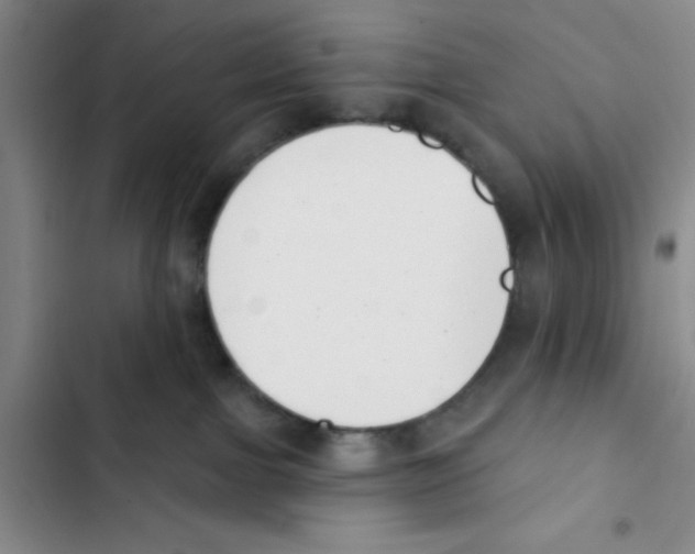 X0000102870091200809151245
