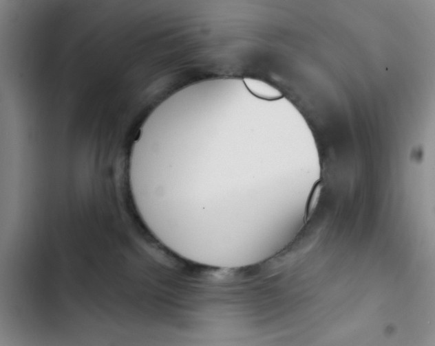 X0000102870092200809151245