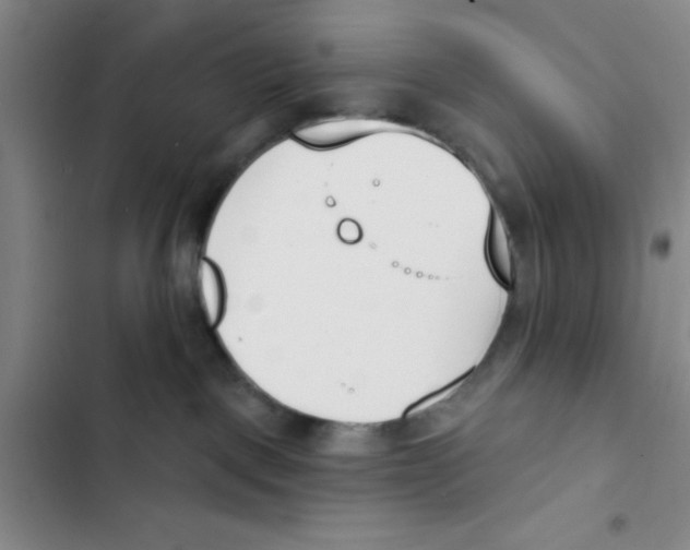 X0000102870093200809151245