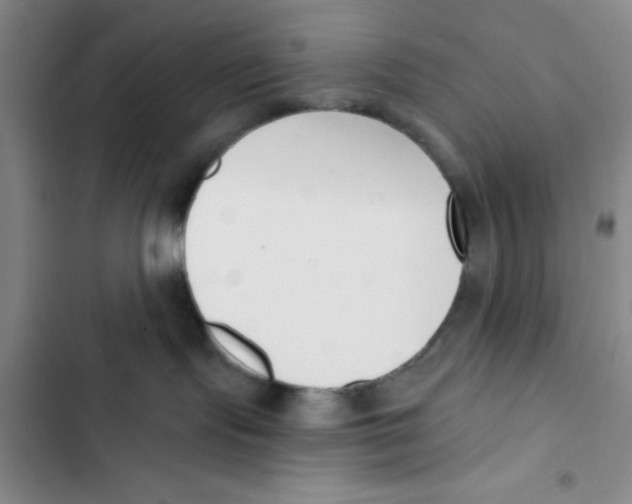 X0000102870095200809151245