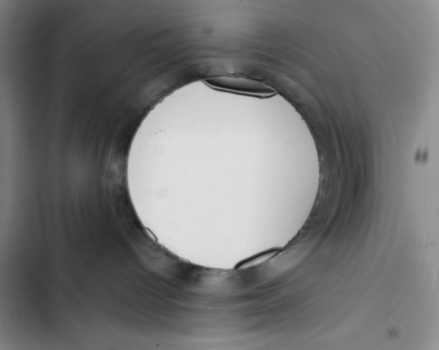 X0000102870096200809151245
