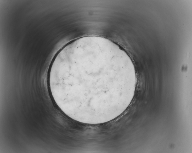 X0000102870099200809151245