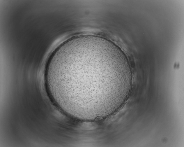 X0000102870101200809151245