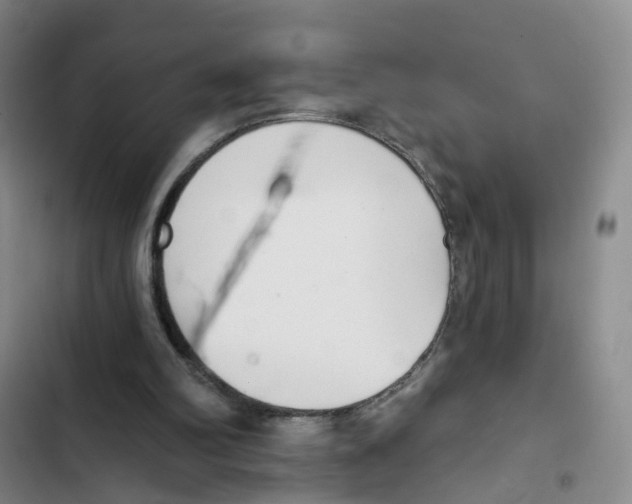 X0000102870102200809151245