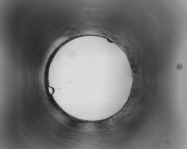 X0000102870104200809151245