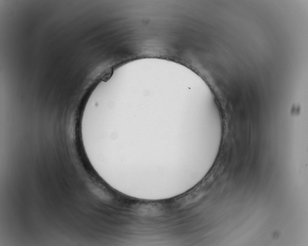 X0000102870106200809151245
