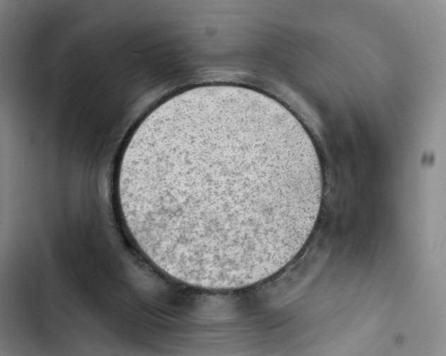 X0000102870107200809151245
