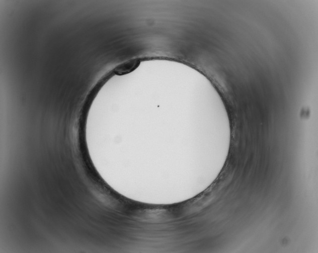 X0000102870108200809151245