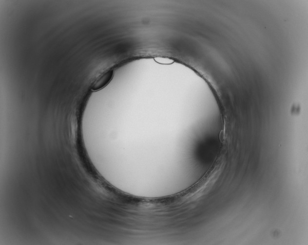 X0000102870109200809151245