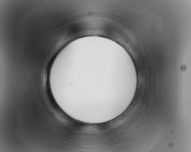 X0000102870110200809151245