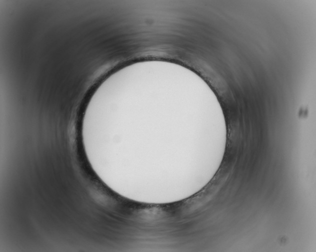X0000102870112200809151244