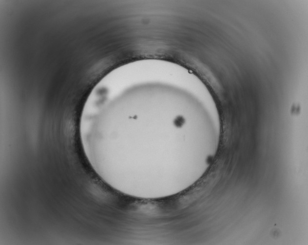 X0000102870113200809151244