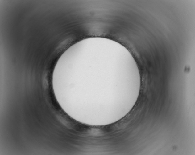 X0000102870114200809151244