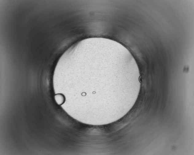 X0000102870115200809151244