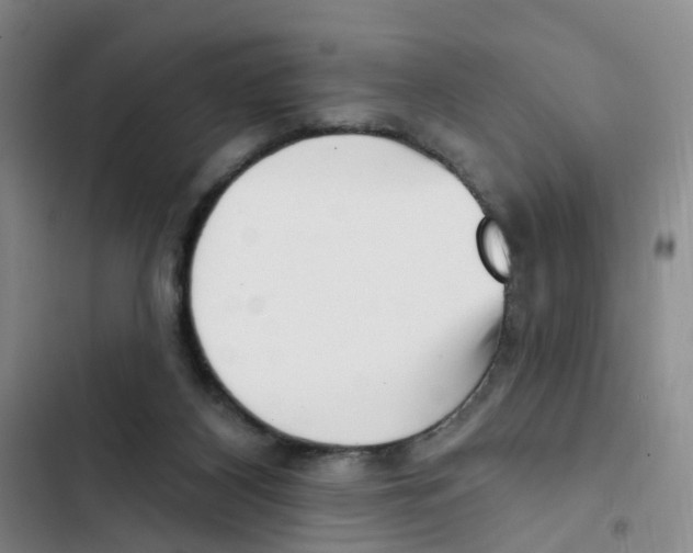 X0000102870116200809151244