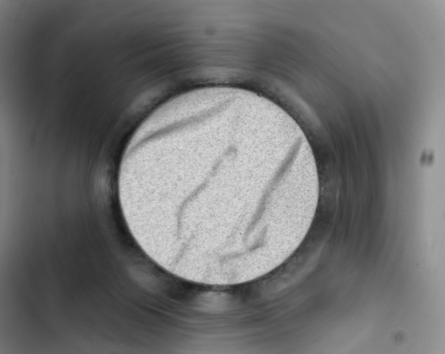 X0000102870119200809151244