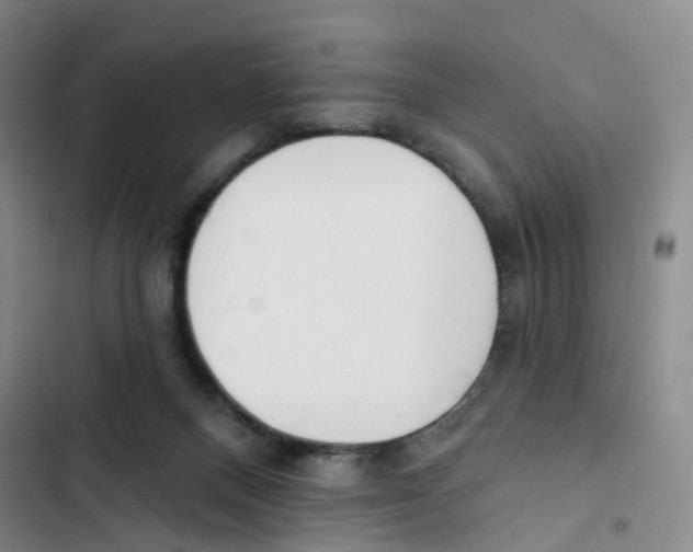X0000102870120200809151244