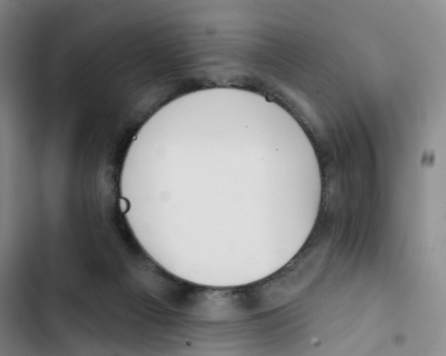 X0000102870121200809151244