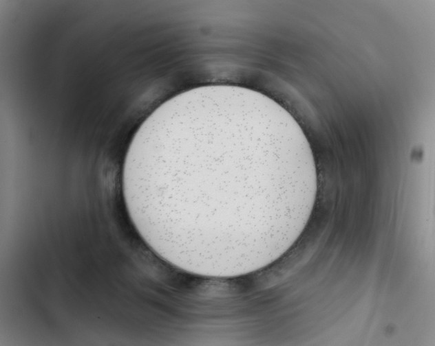 X0000102870123200809151244