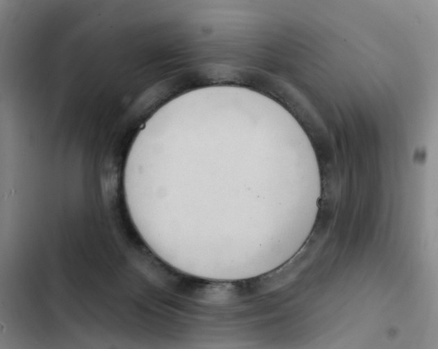 X0000102870124200809151244