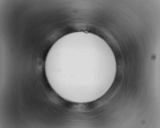 X0000102870125200809151244