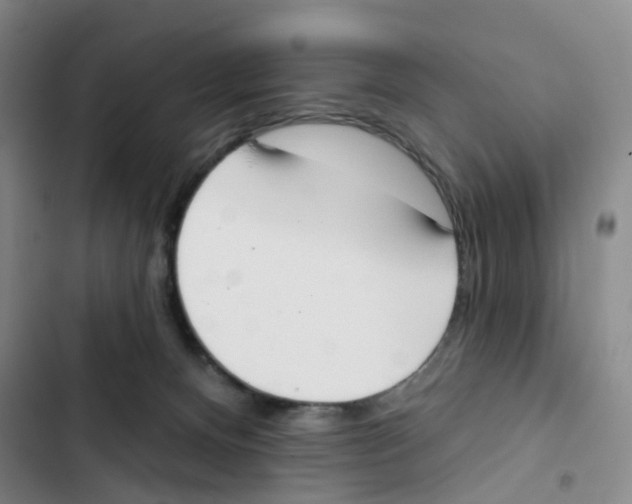 X0000102870128200809151244