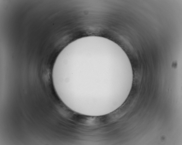 X0000102870130200809151244