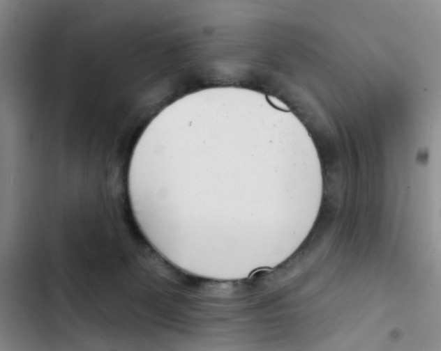 X0000102870131200809151244