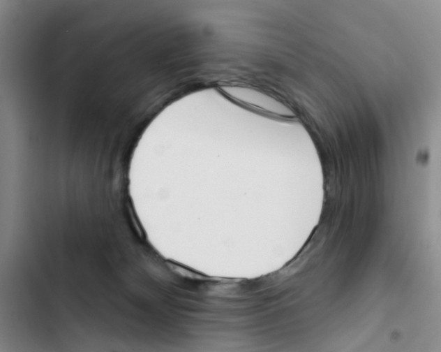 X0000102870132200809151244