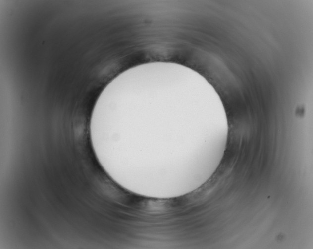 X0000102870134200809151244