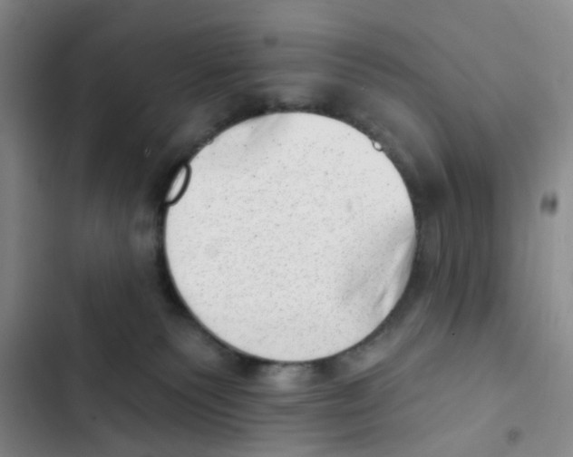 X0000102870135200809151244