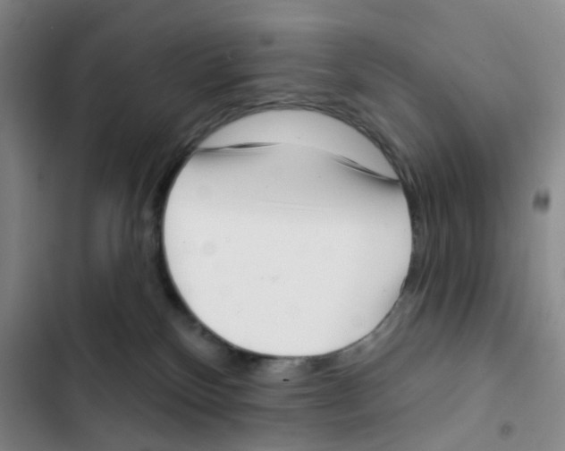 X0000102870136200809151244
