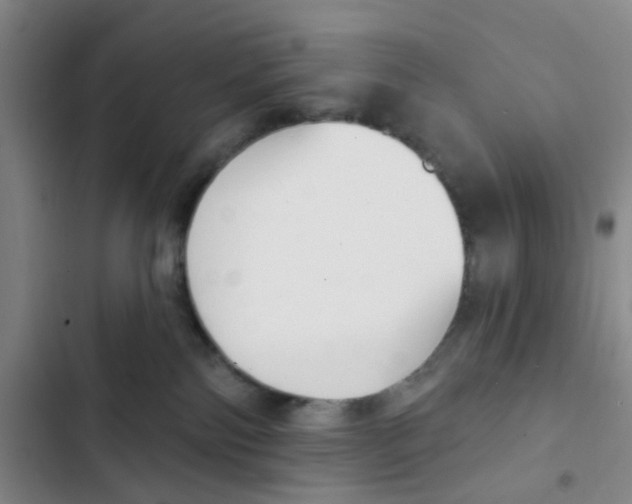 X0000102870138200809151244