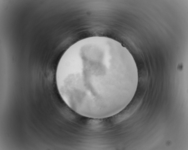X0000102870139200809151244