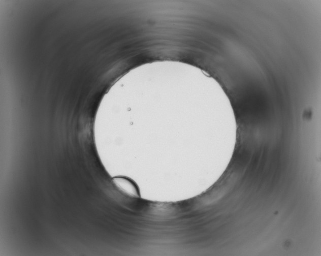 X0000102870141200809151244