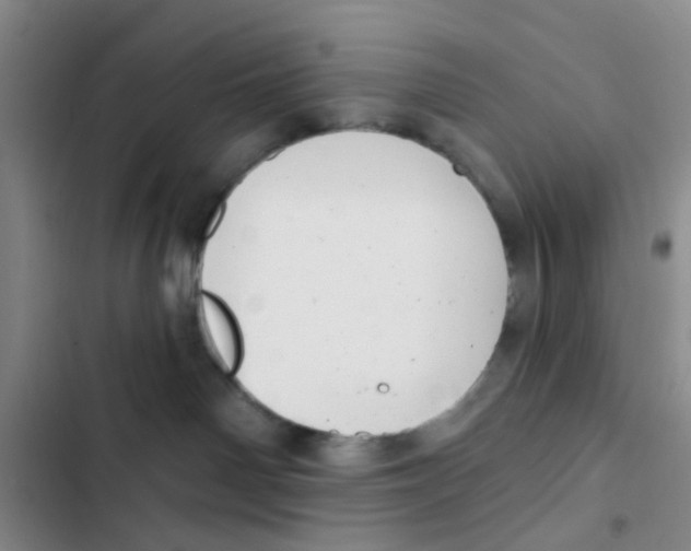 X0000102870142200809151244