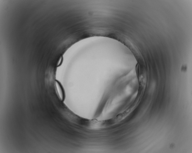 X0000102870143200809151244