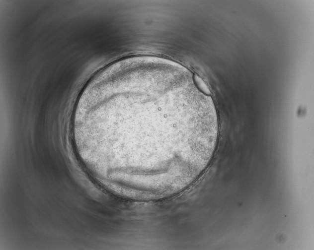 X0000102870145200809151243