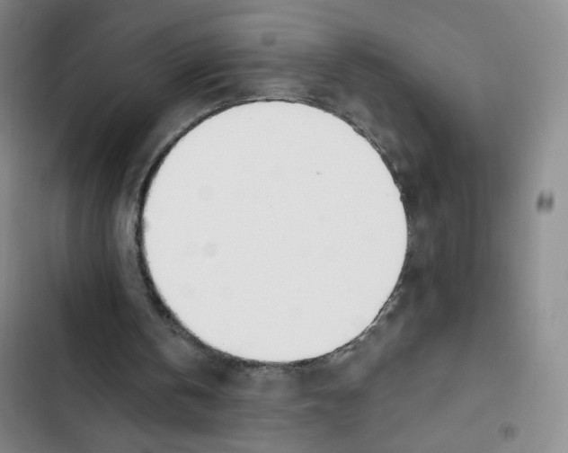 X0000102870146200809151243