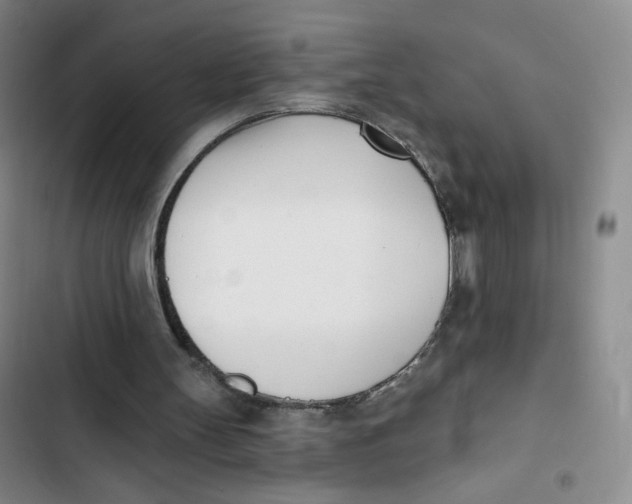 X0000102870147200809151243