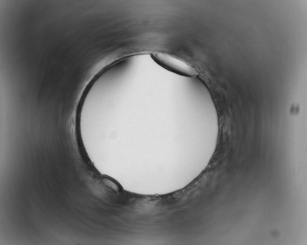 X0000102870148200809151243