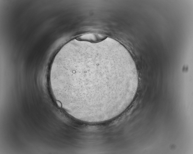 X0000102870149200809151243