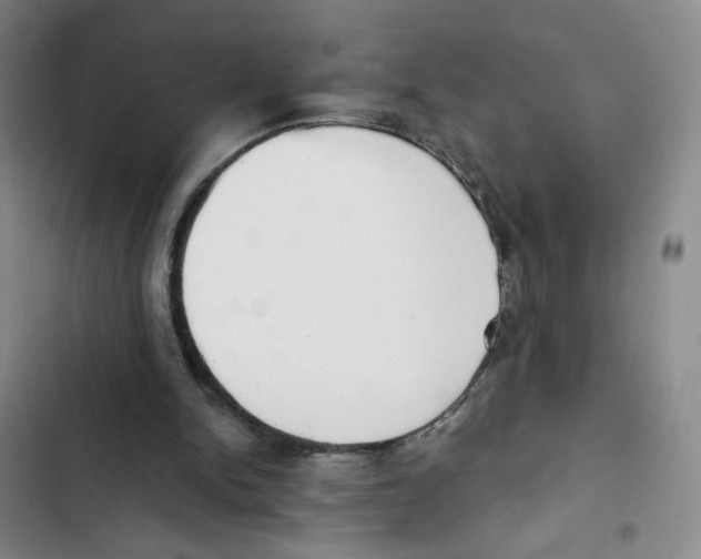 X0000102870150200809151243
