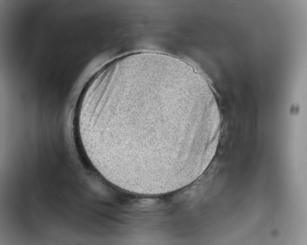 X0000102870151200809151243