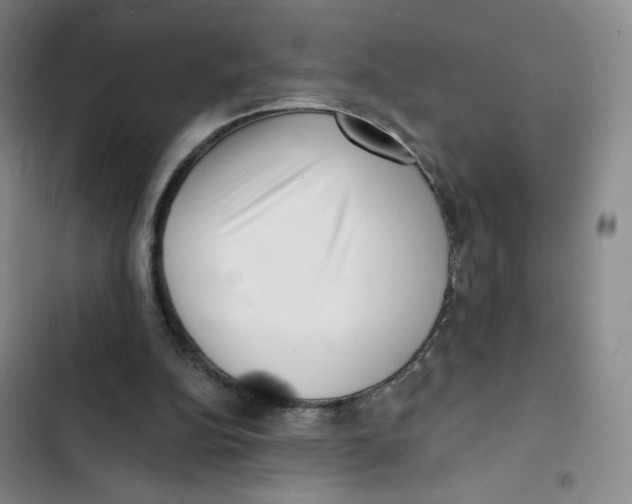 X0000102870152200809151243