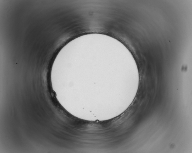 X0000102870154200809151243
