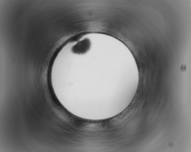 X0000102870155200809151243