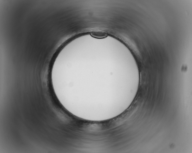 X0000102870156200809151243