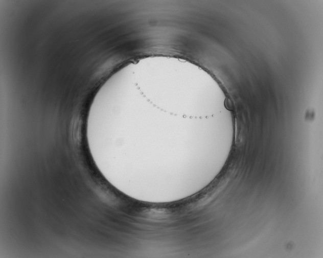 X0000102870157200809151243