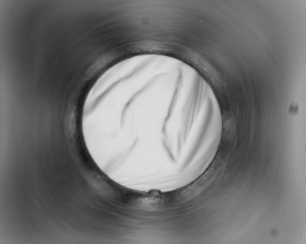X0000102870158200809151243